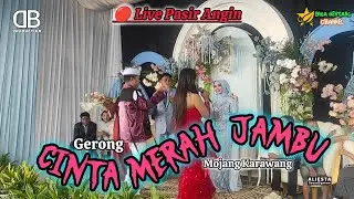 Medley Lagu Viral Cinta Merah Jambu Versi Koplo Bajidor - All Artis New DB production - Bandung