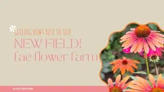 Fae Flower Farm has a NEW BIGGER FIELD! Join our family as we get the rows ready and start planting!