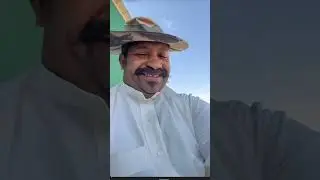 صباح طيب مع أبا الطيب