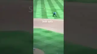 MLB the show is good #memes
