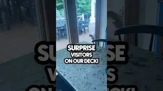 Unbelievable SURPRISE! 😮 We have a baby!!! #animals #babyanimals #cute #wildlife
