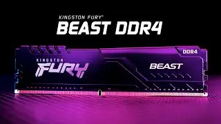 DDR4 Memory with speeds up to 3600MT/s &ndash; Kingston FURY Beast