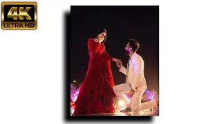 Happy Propose Day 4K HD Whatsapp Status 2021 propose day status  Valentine Day status rajababu