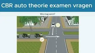 🚦 Auto Theorie examen 2025  30 Belangrijkste Vragen + Theorie Tips