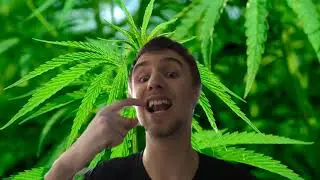 Best Tasting CBD: Regular vs. Nano Oil Compared (Honest Opinion)