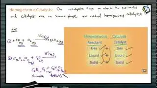 Types Of Homogeneous Catalysis