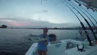 Snook Fishing in the Palm Beach Inlet