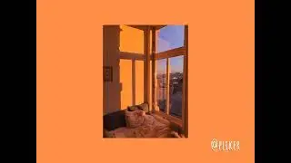 pliker - sunny evening