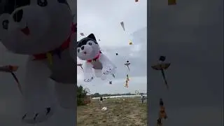 Gấu đốm vịt Dolan bay dập d&igrave;u tr&ecirc;n bầu trời Ấn Độ .#xuhung #dieu #kiteflying #layangan .