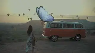 ##Beautiful Sunrise video with Butterfly।Early morning Lapse##