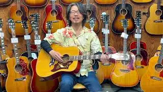 GIBSON DOVE NT 1969