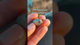 SYT Fishing lure. กว่าจะพอใจก็หมดไปหลาย😂 #ตกปลา #กบยาง#เหยื่อปลอม