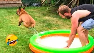 Funniest Cats And Dogs Videos - The Best Animal Videos 2022 😇