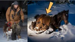 A Dying Mustang and Her Foal Trapped in Blizzard - One Man's Choice Will Leave You Speechless!
