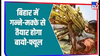 Ethanol Policy को मंजूरी! Bihar में गन्ना, मक्का और चावल की टुकड़ी से बनेगा Bio Fuel