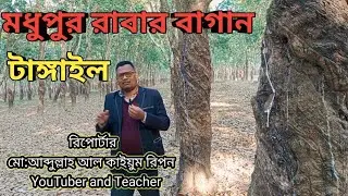 মধুপুর রাবার বাগান। Madhupur Rabar bagan।