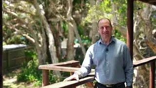 Is this the best yard in Forresters Beach?