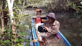 ខ្យល់បក់រំភើយល្ហែល្ហើយតាមកោះនានា ចូលព្រៃជាមួយភរិយា ជួបឃ្មុំដំរីធំ TODAY WITH MY WIFE IN THE WILD 4K