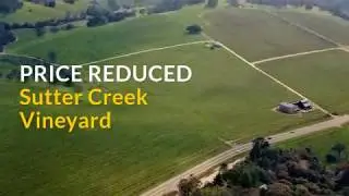 PRICE REDUCED Sutter Creek Vineyard