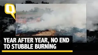 Stubble Burning: Farmers Blame Governments As Air Quality Worsens | The Quint