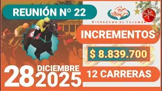 Domingo 28 de diciembre de 2025