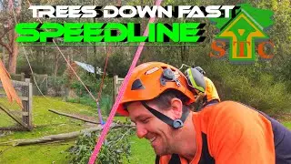 STC SPEEDLINE TEAM ( Trees down fast.!! ) STC Tree services Tasmania