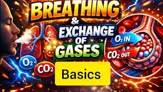 Breathing and Exchange of Gases | Class 11 Biology | NEET 2026 Complete Concept 🔥|#neet2026 