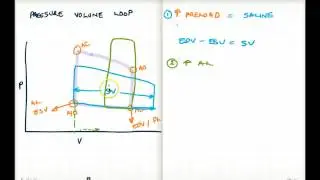 PRESSURE VOLUME LOOP MADE SIMPLE