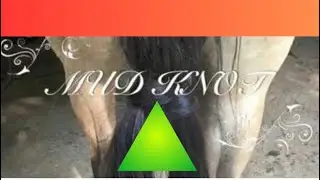 How to Tie a Mud Knot