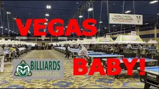 Dr. Dave&rsquo;s VNEA Vegas Experience