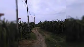 Chao ca nha don xem lip phong canh xung quanh ,que huong minh ne.