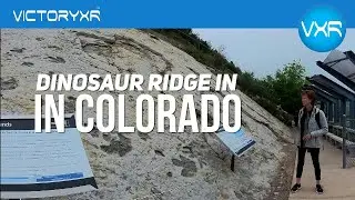 Visit Dinosaur Ridge In Colorado To Learn About Fossils, The Dinosaurs That Roamed The Area & More