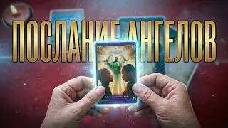 💥Guardian Angel Message.. You Need to Hear This Right Now💯Tarot Nemo Reading