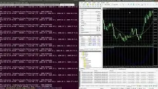 demo mt5 python api