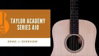 BEST BUDGET TAYLOR? | Taylor Academy Series A10 Dreadnought Demo