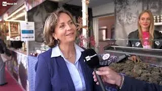 Rai News 24 02/11/2025 - Inaugurata la 60&deg; Fiera Internazionale del Tarufo Bianco di Acqualagna