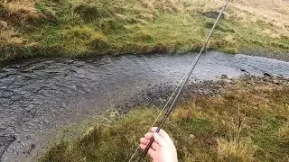 Tiny Creek with Big Tanks. New Zealand Fly Fishing | March 2024.