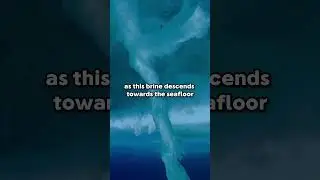 Nature's Freezing Finger: Discover the Icicle of Death