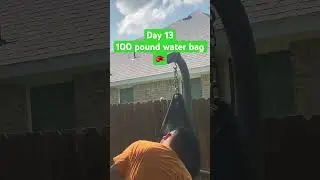 Day 13 | 100 pound water bag | #aquabag #boxing #waterbag #training #caneloalvarez #tankdavis #tmt 1