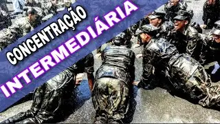 COMO É A CONCENTRAÇÃO INTERMEDIÁRIA | RUMO A EEAR