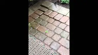 Small Hail