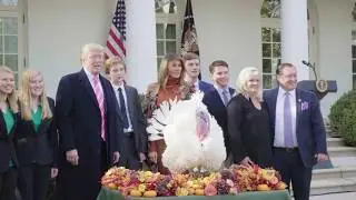 President Trump Pardons the National Thanksgiving Turkey