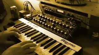Behringer Wasp Deluxe iRig KeysPro Alva Nanoface Sony SRP-L300 | Progressive Ambient Electronic