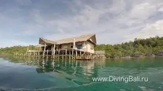 Diving in Raja Ampat archipelago the part of the Coral Triangle, West Papua