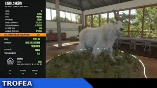 Kozioł śnieżny💎Diament💎 z Alberty (2025-06-19) | theHunter: Call of the Wild [TROFEA]