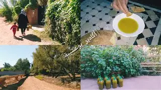 أݣادير بوعشيبة جماعة أنزو مرحبا بكم 😍أجيو تمشيو معنا للمعصرة ناخذو زيت العود مذاق و جودة طبيعية100%