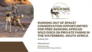 2023 SAWMA | Conserving African wild dogs in the Waterberg, South Africa
