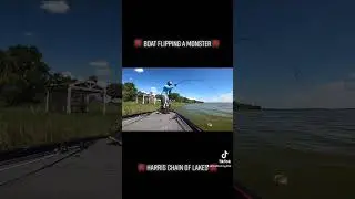 ‼️Boat Flipping a Monster Bass‼️ #bassfishing #bassfishing #Boatflip #shorts  #reels #fishing #fyp