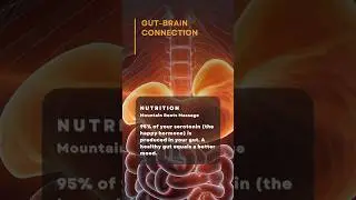 How Gut Health Affects Your Mood and Serotonin #guthealth #wellness #mood #tips