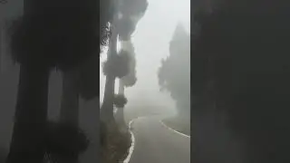 Darjeeling via Mirik road 😍 beautiful road trip #shorts #youtubeshorts #shortvideo